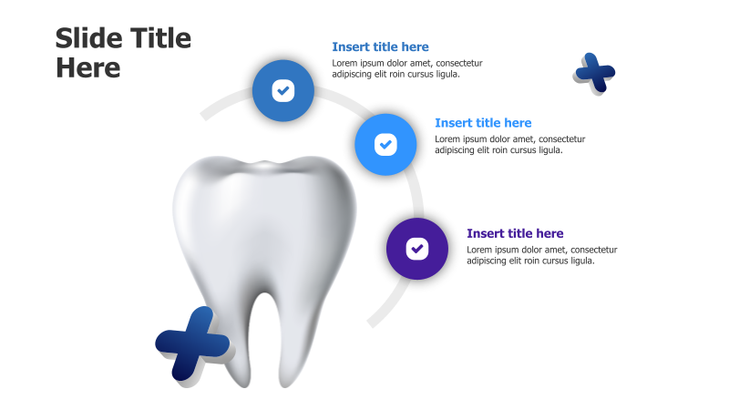 3-Point Dental Health Infographic