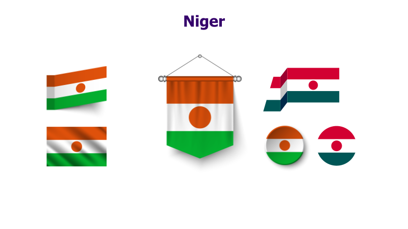 Niger Flag Variations
