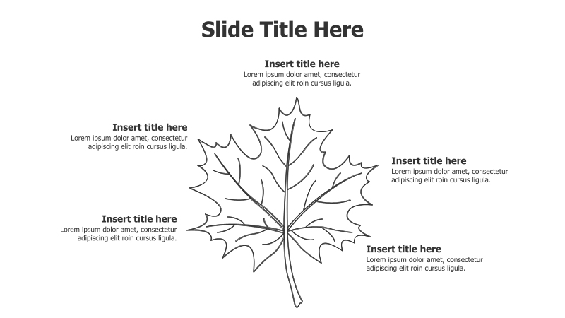 5 Points Outline Leaf Infographic