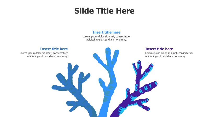 3 Points Colored Coral Reefs Infographic