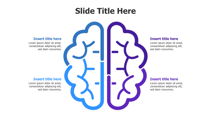 Dual Brain Infographic - 4 Points