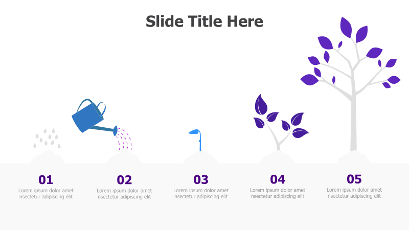 5-Step Growth Process