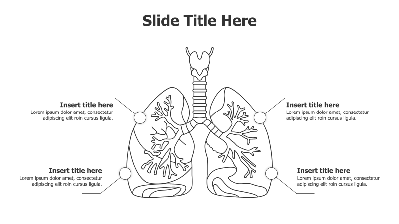 4-Point Lungs Infographic