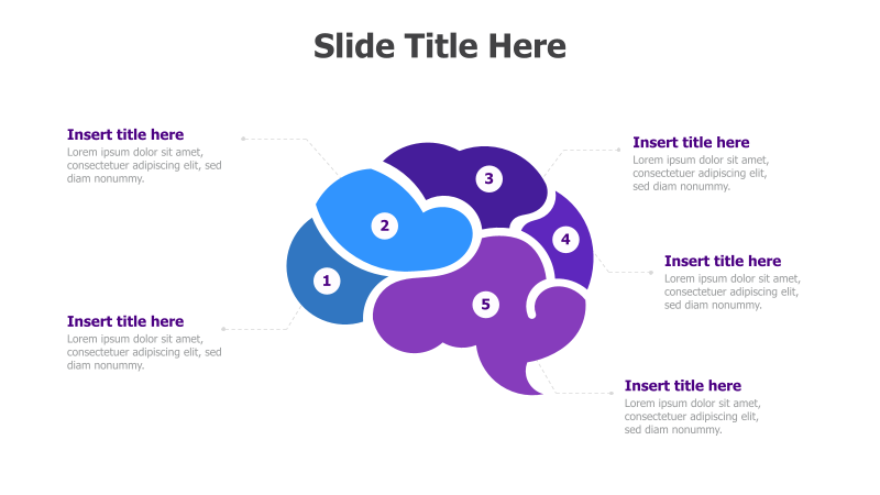5-Point Brain Infographic