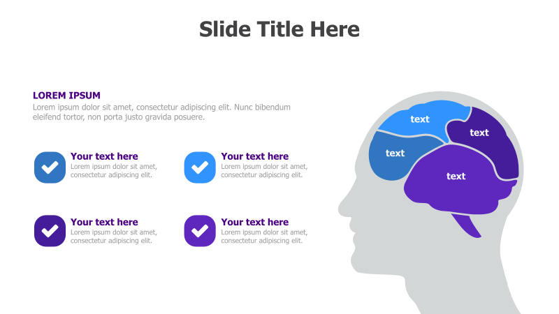 4-Point Brain Infographic