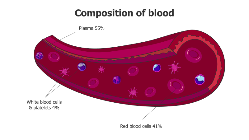 Blood Composition Breakdown