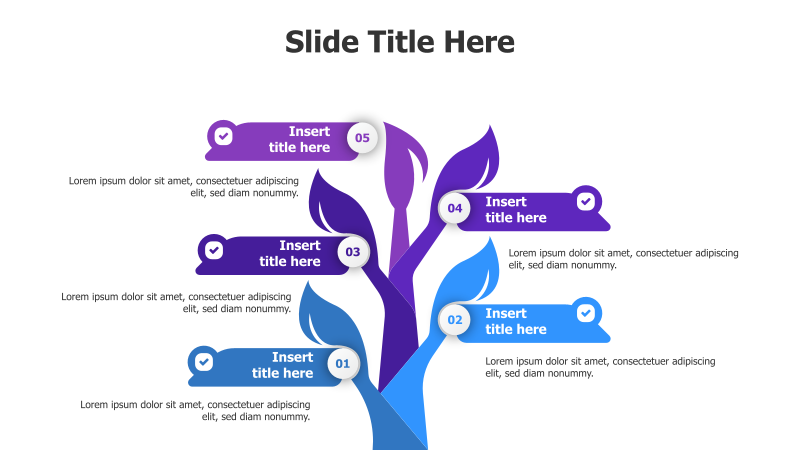 5 Points Leaf Infographic