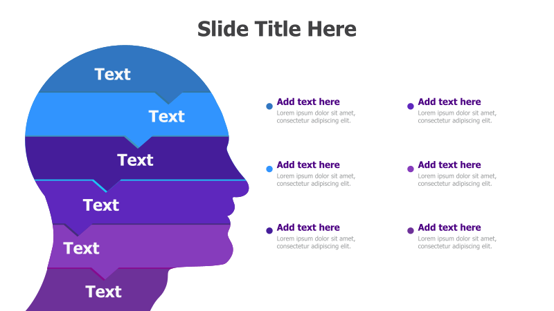 6-Level Brain Infographic