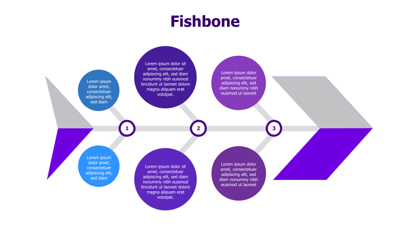 Fishbone Diagram - 3 Points
