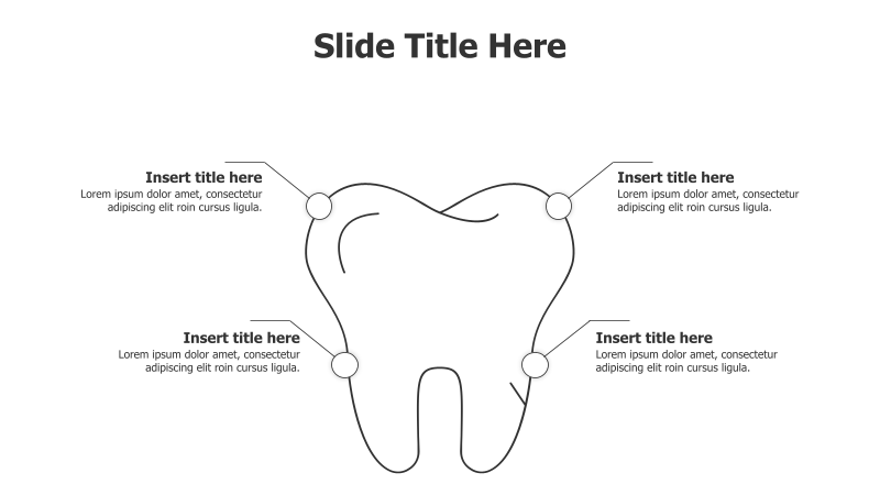 4-Point Tooth Outline Infographic