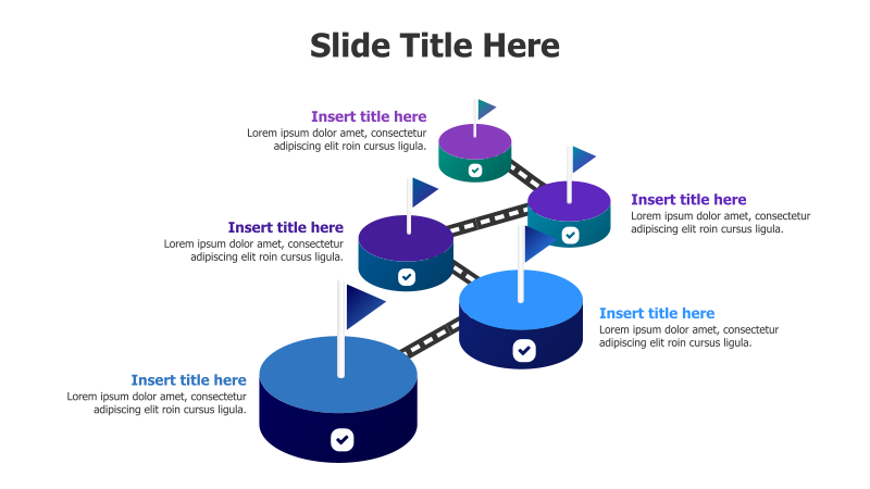 5-Point Platform Infographic