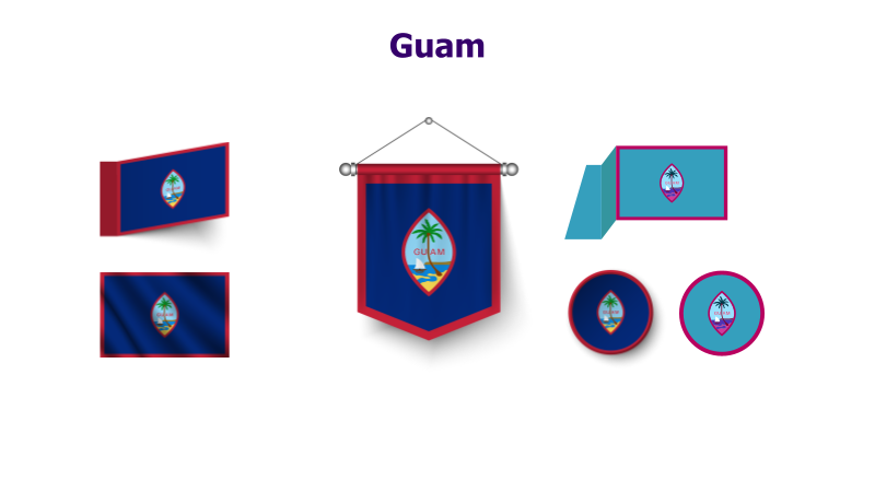 Guam Flag Variations