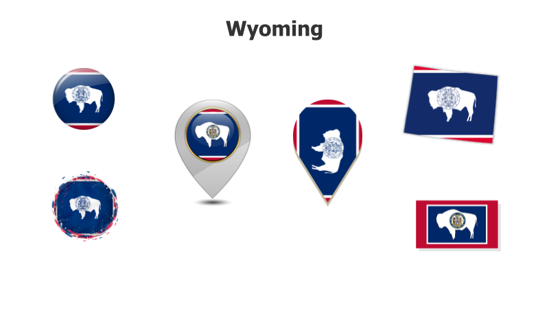 Wyoming State Flag Variations