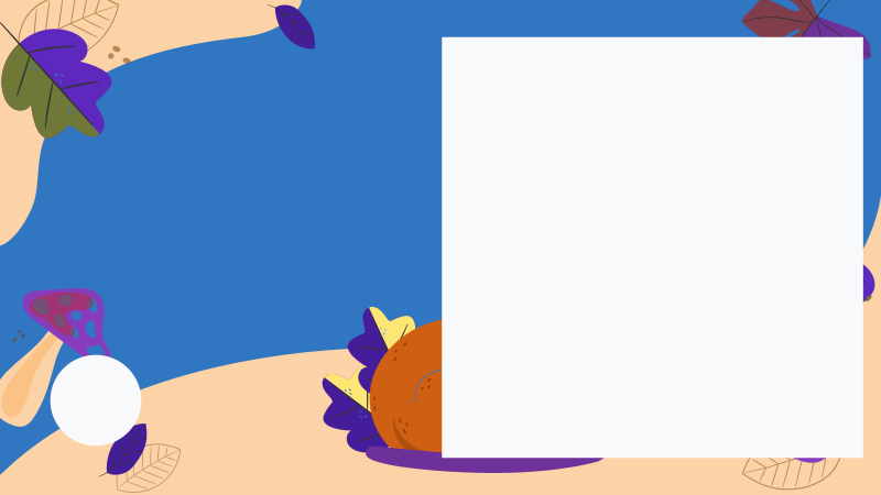 Thanksgiving Turkey Cover