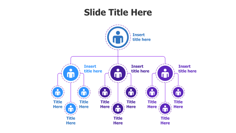 4-Point Branching Organizational Chart