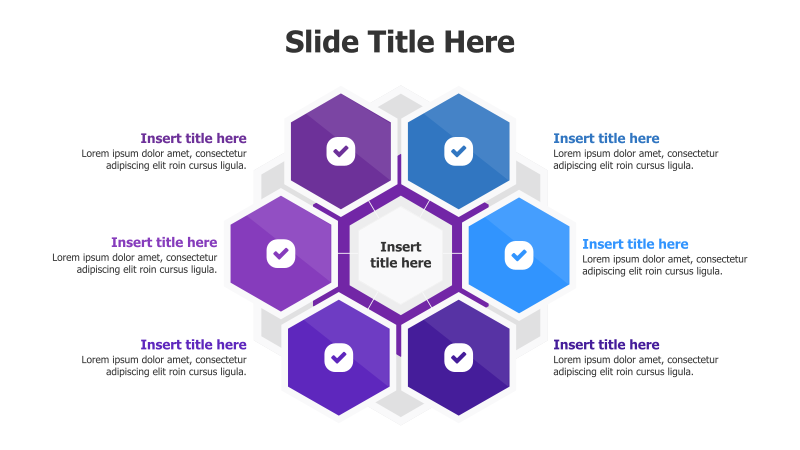 6-Point Hexagonal Infographic