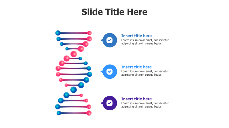 3-Point 3D DNA Infographic