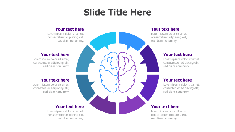 8-Point Round Infographic with Brain Illustration