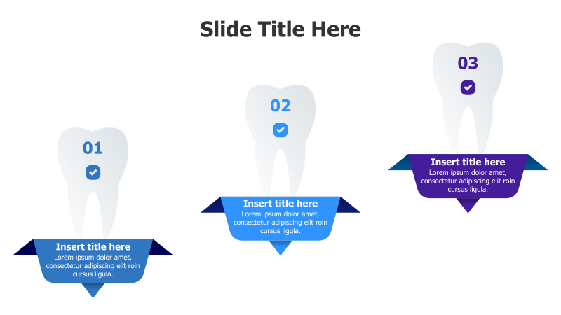 3-Point Tooth Infographic