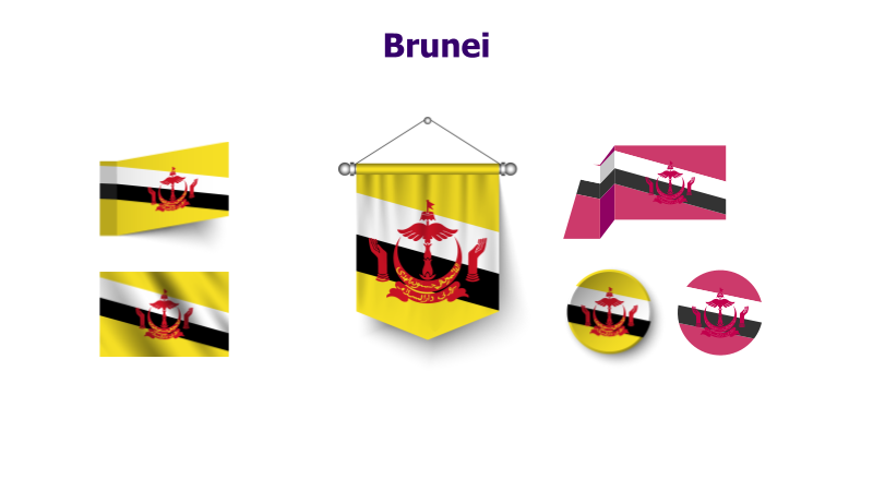 Brunei Flag Variations