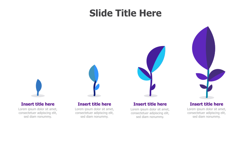 4-Step Plant Growth Diagram