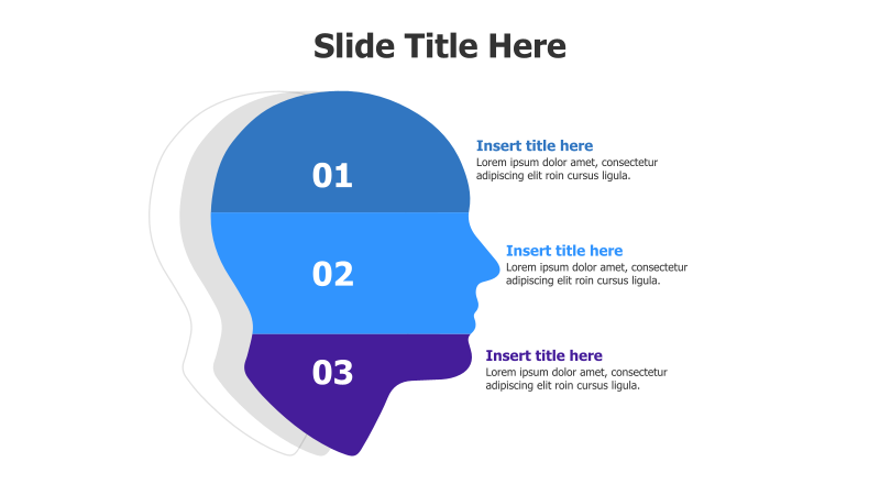 3-Point Head Infographic