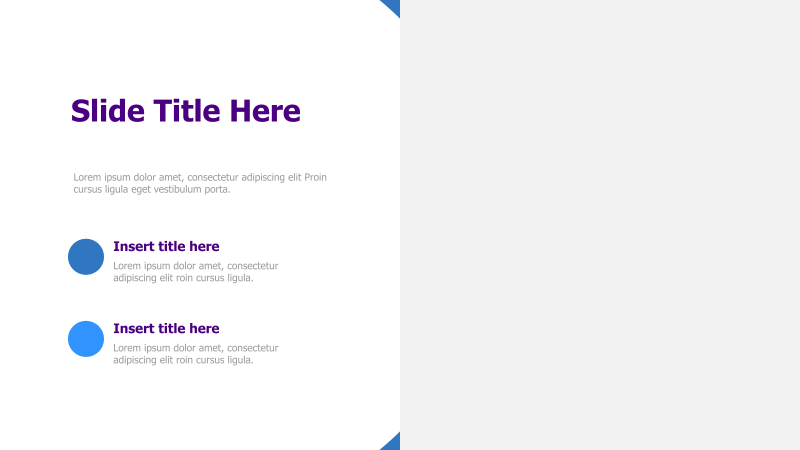Title and Two Point Summary