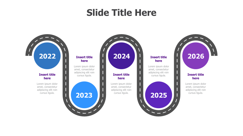 Roadmap Timeline Infographic