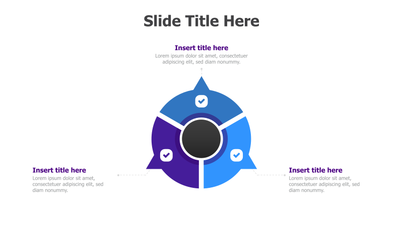 3-Point Circular Diagram with Checkmarks