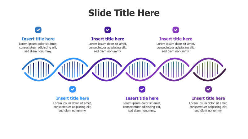 6-Point DNA Infographic
