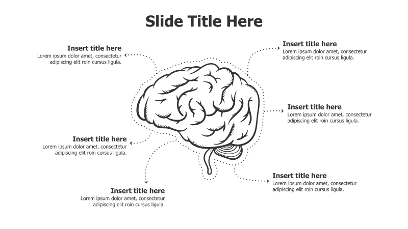 6-Point Brain Infographic