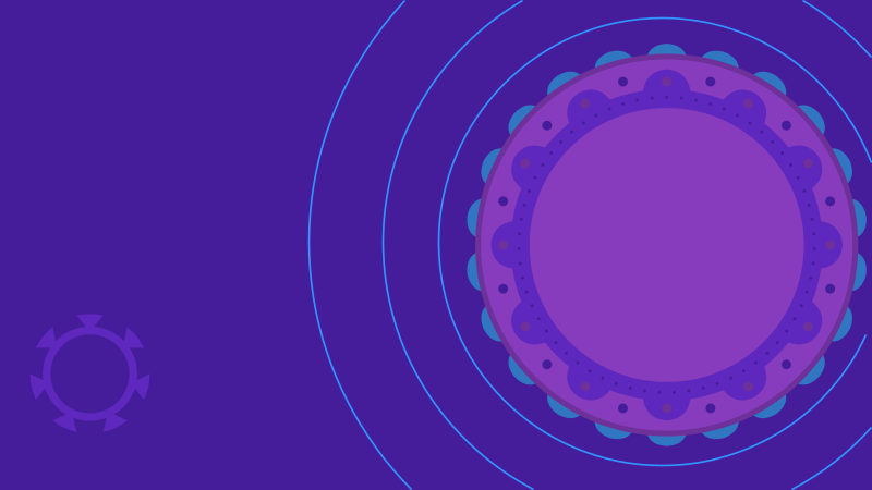 Festive Circular Design