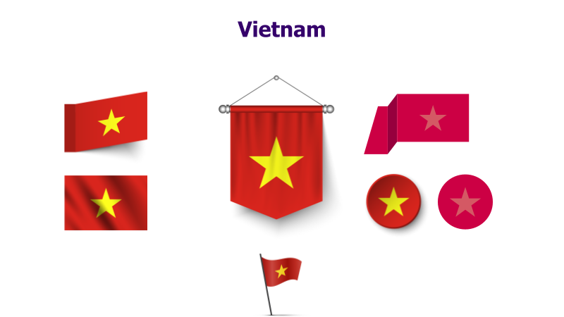 Vietnam Flag Variations