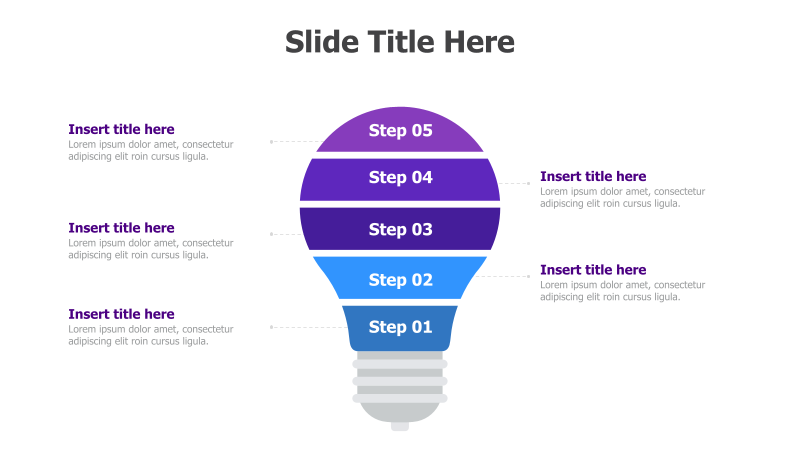 5-Step Lightbulb Infographic