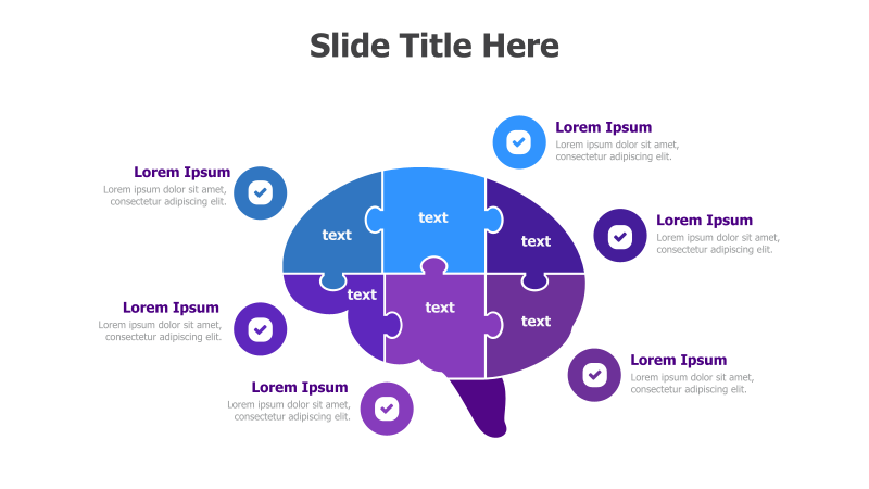 Brain Puzzle: 6 Key Concepts