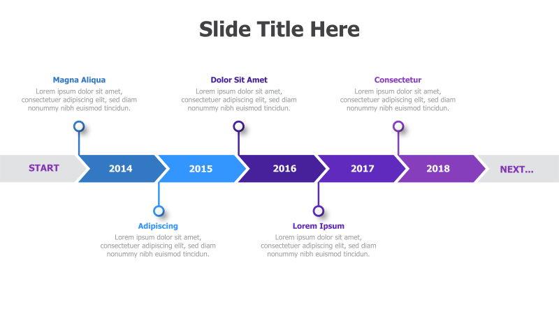 5-Point Timeline with Branching Paths