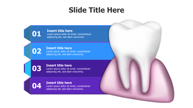 4-Point Tooth Diagram