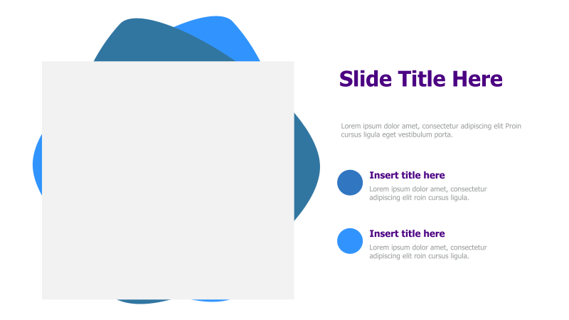 Image & Text Combination Slide