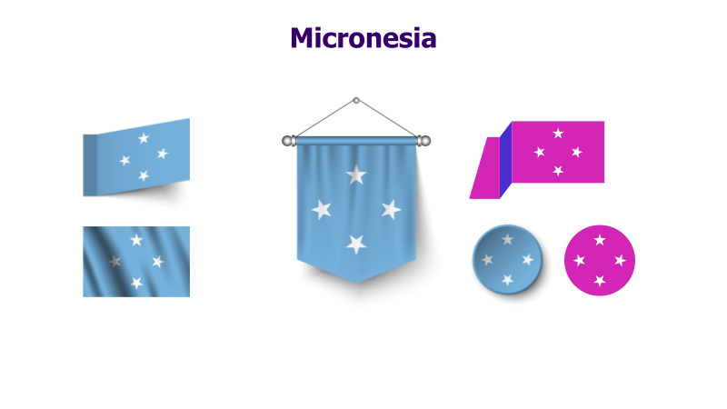 Micronesia Flag Variations
