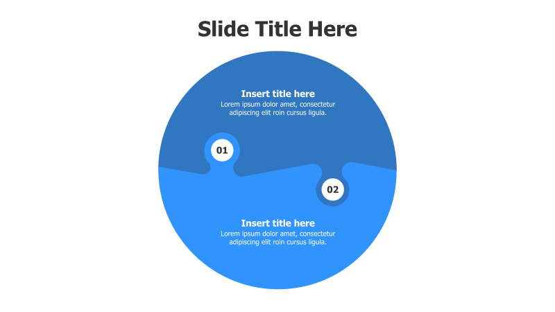 2-Point Circular Puzzle Infographic