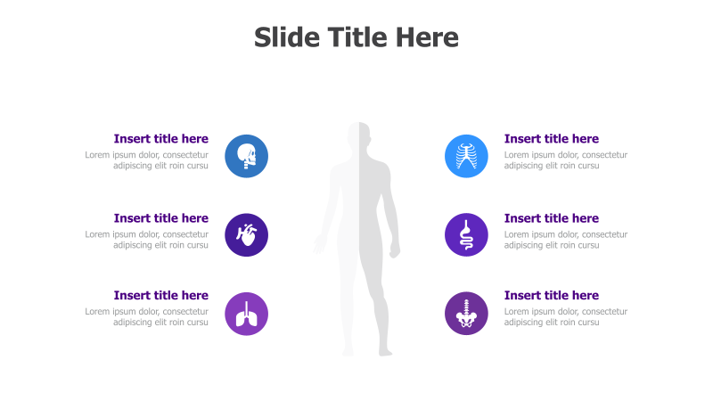 6-Point Human Body Systems Overview