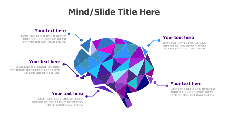 5-Point Brain Infographic