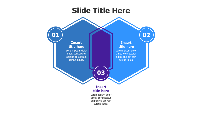 3-Point Hexagon Infographic