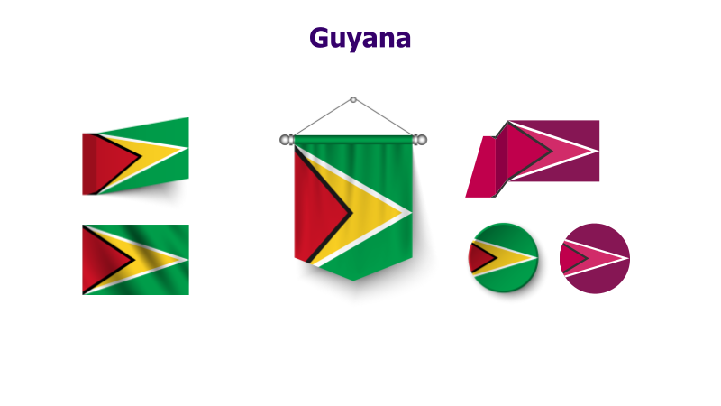 Guyana Flag Variations