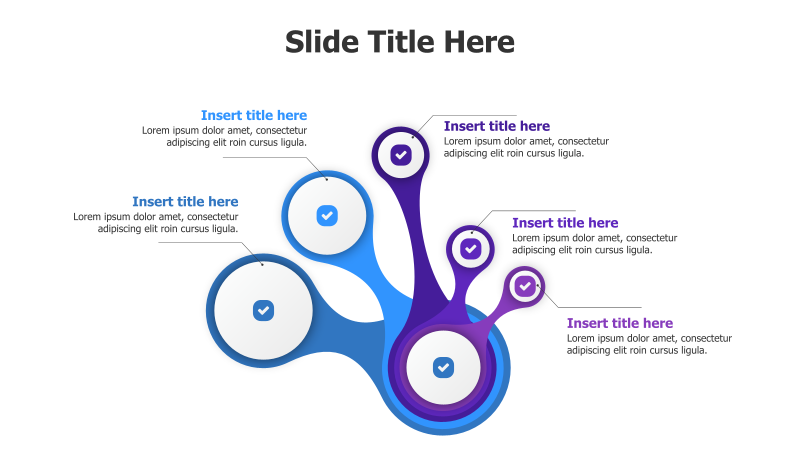 5-Point Circular Infographic
