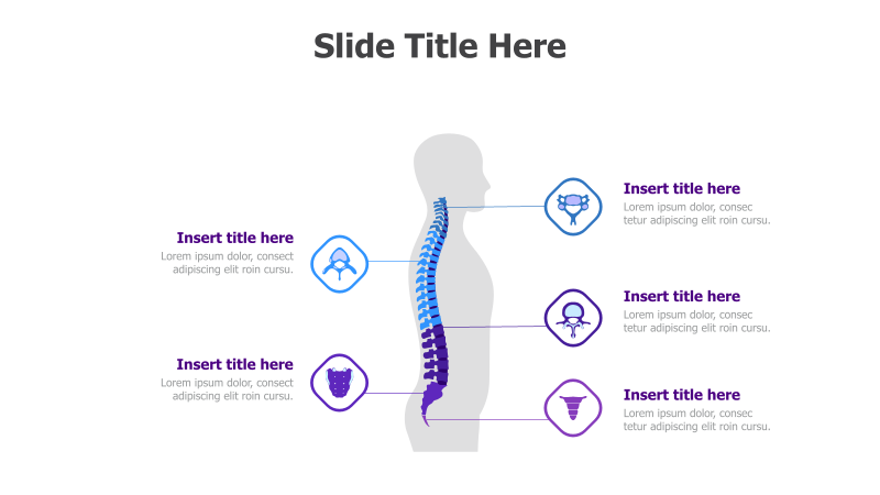 5-Point Spine Diagram