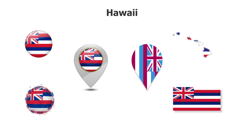 Hawaii State Flag Variations