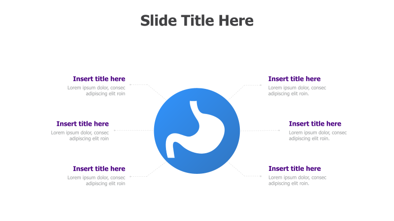 6-Point Stomach Diagram