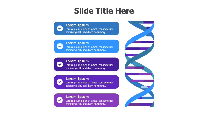5-Level DNA Helix with Checkmarks
