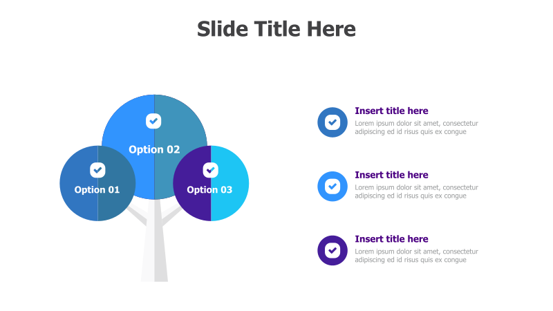 3-Option Tree Diagram with Details